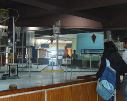 Science Gallery