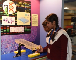 Science Gallery